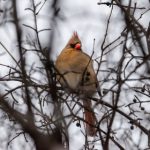 658开奖前后:幸运时刻的期待与惊喜 1w4c8eyf