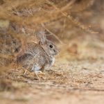 66799开奖结果最新公布,速来查看幸运号码! 2kz5n5