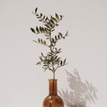 651开奖前后:幸运号码的诞生与揭晓时刻 65zt50fp