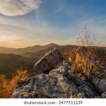 66999开奖结果最新公布,速看本期幸运号码 9f6xc31