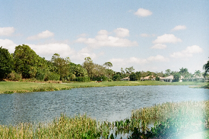 游艇会的注意事项:安全与礼仪不可忽视的细节