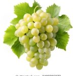 澳亚国际官网用户体验评测:真实反馈与建议 luxheza4m