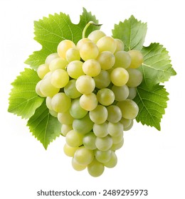 澳亚国际官网用户体验评测:真实反馈与建议