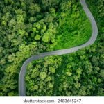 664现场开奖结果全程高清直播 tlz46